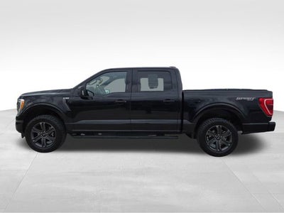 2023 Ford F-150 XL